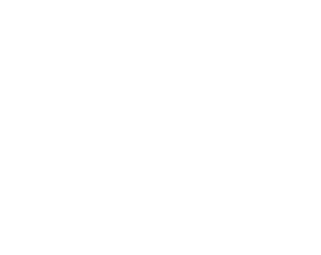 RA Pneumticos